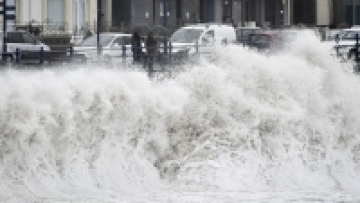 Photo: ${params.title}