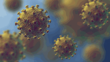 Photo: ${params.title}