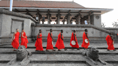 Photo: Amazing pictures from around the world