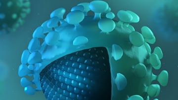 Photo: ${params.title}