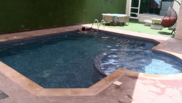 Photo: ${params.title}