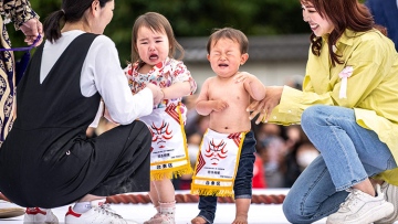 Photo: ${params.title}