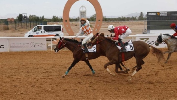 Photo: Marrakesh Racecourse in Morocco hosts H.H. Sheikh Mansour bin Zayed Al Nahyan Global Arabian Horse Flat Racing Festival