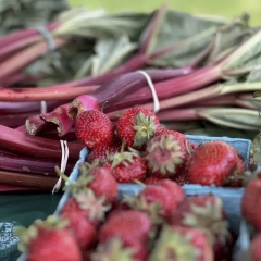Photo: June is rhubarb picking time in the garden, so pucker up
