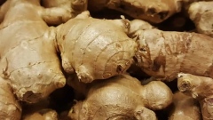 Photo: Ginger supplements can be beneficial in treating autoimmune diseases: Study