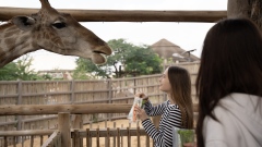 Photo: Dubai Safari Park to open its doors for a new season on 5 October