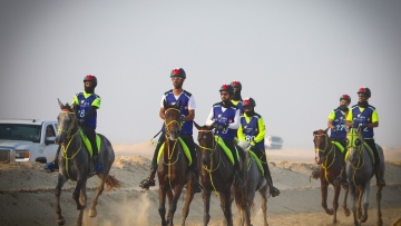 Photo: ${params.title}