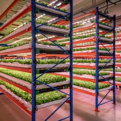 Photo: - Emirates Flight Catering fully acquires Bustanica, the world’s largest indoor vertical farm