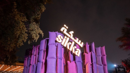 Photo: Murals and Art Installations at Sikka Art and Design Festival... A captivating visual journey
