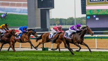 Photo: Tower Of London a sight to behold in Dubai Gold Cup