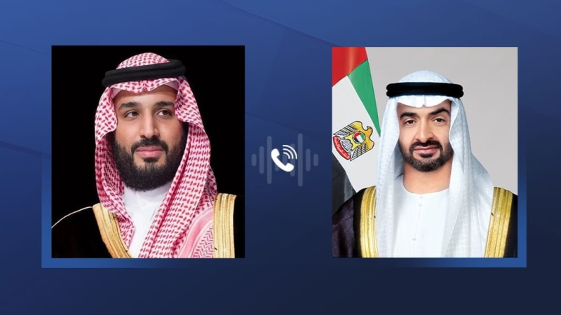 Photo: UAE President and Saudi Crown Prince discuss regional developments