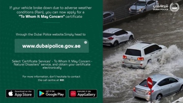 Photo: ${params.title}