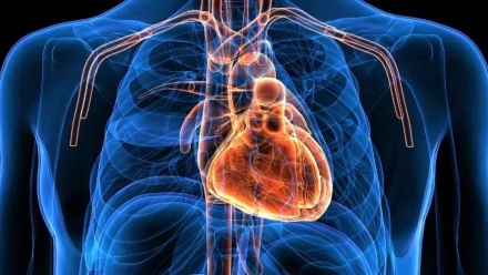 Photo: A study warns of a common pain reliever that could harm the heart