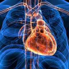 Photo: A study warns of a common pain reliever that could harm the heart
