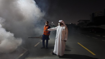 Photo: Dubai Municipality initiates comprehensive pest control strategies following adverse weather conditions in Dubai