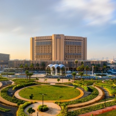 Photo: Surgeons remove world’s largest adrenal tumour at Dubai Hospital