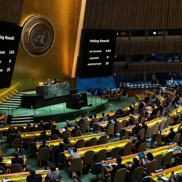 Photo: UN General Assembly backs Palestinian bid for membership