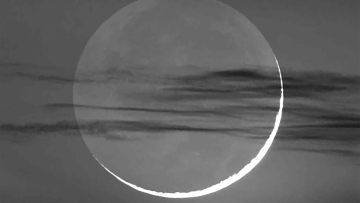 Photo: ${params.title}