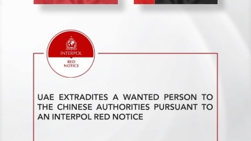 Photo: ${params.title}