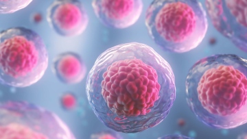 Photo: Study Finds Spaceflight Accelerates Ageing of Human Blood Cells