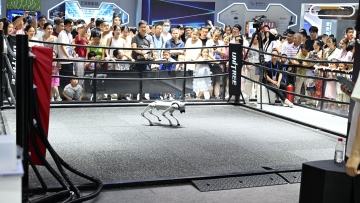 Photo: AI takes centre stage at China's Global Digital Trade Expo