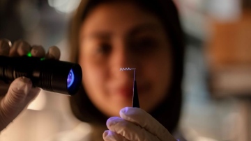 Photo: NYU Abu Dhabi Develops Brain Implant for Precise Drug Delivery