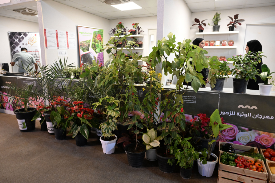 Intense Contests At Al Wathba Flower Festival in Abu Dhabi