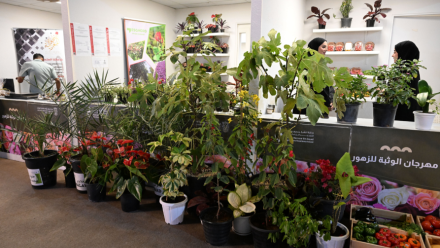 Photo: Intense Contests At Al Wathba Flower Festival in Abu Dhabi