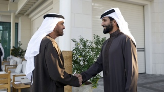 UAE President Meets with Bahrain's National Security Advisor