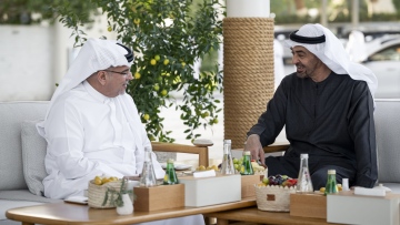 Photo: UAE President Meets with Crown Prince of Bahrain