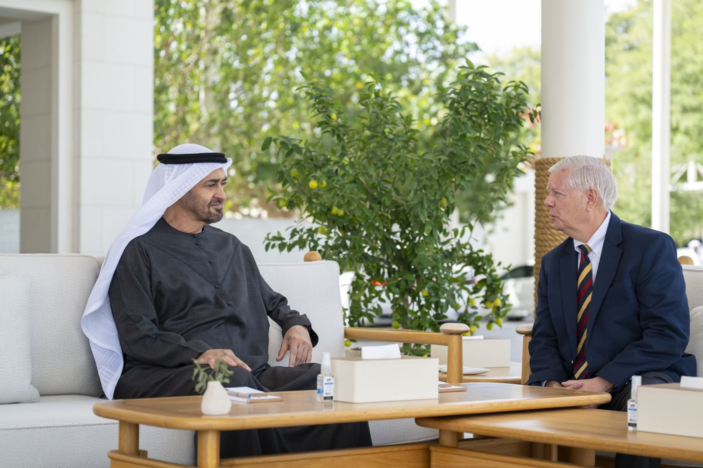 UAE President and US Senator Lindsey Graham Discuss Regional Security Ties