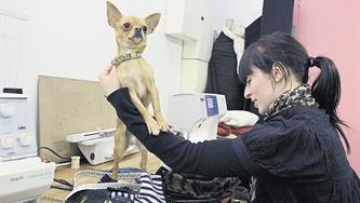 Photo: ${params.title}