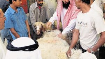 Photo: ${params.title}