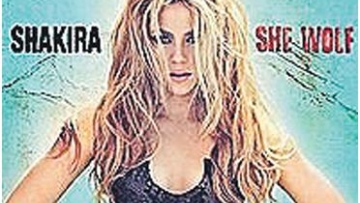 Photo: ${params.title}