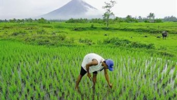 Photo: ${params.title}