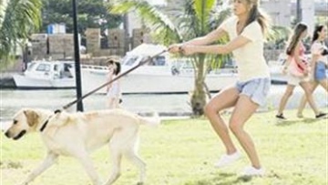 Photo: ${params.title}