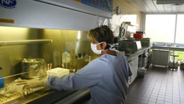 Photo: ${params.title}