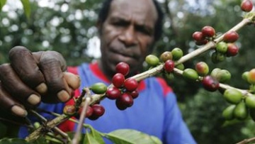 Photo: ${params.title}