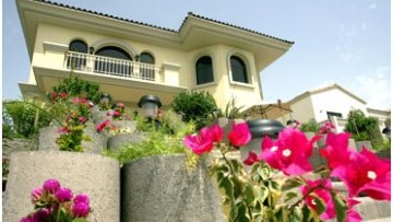 Photo: ${params.title}