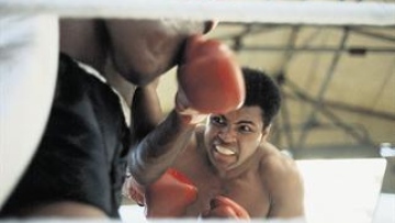 Photo: ${params.title}