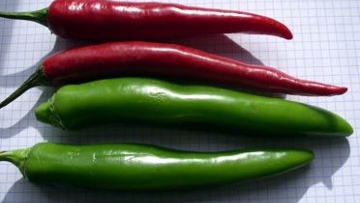 Photo: ${params.title}