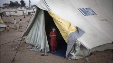 Photo: ${params.title}