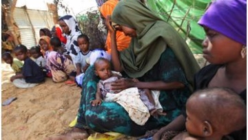 Photo: ${params.title}