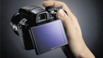 Photo: ${params.title}