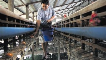 Photo: ${params.title}