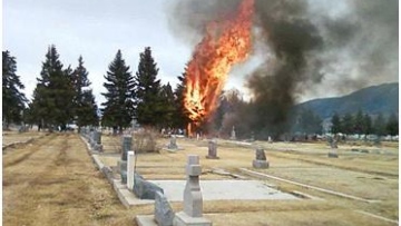 Photo: ${params.title}