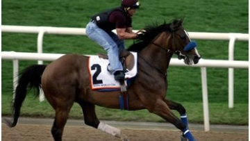 Photo: ${params.title}