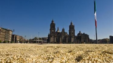 Photo: ${params.title}