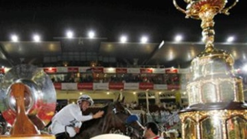 Photo: ${params.title}