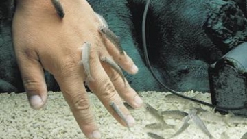 Photo: ${params.title}